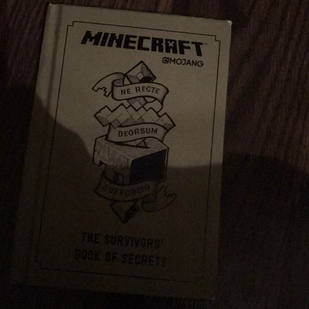Minecraft book
